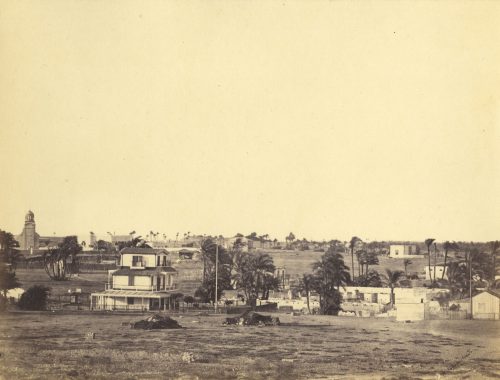 Wilhelm Hammerschmidt (Künstler*in), Landhäuser in Ramle in der Nähe von Alexandria, 1860s