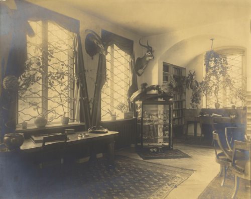 W. Hümmer (Künstler*in), Ohne Titel (Interieur der Wohnung eines Großwildjägers - Arbeitszimmer mit Bibliothek und mit Wandtrophäen), ca. 1910