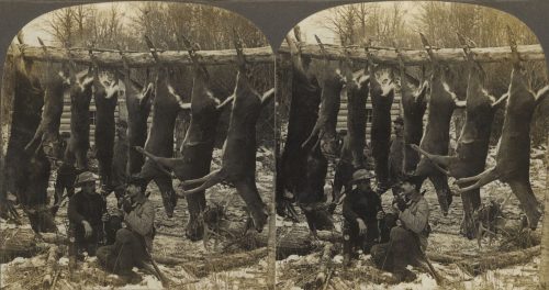 B.L. Singley (Künstler*in), Seven and One Hanging-Team in the Woods for More, 1901