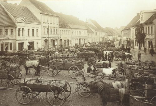 Unbekannt (Künstler*in), Meerrettichmarkt in Lübbenau, 1870s–1880s