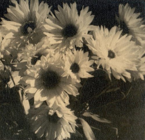 Unbekannt (Künstler*in), Ohne Titel (Blumen), ca. 1920s