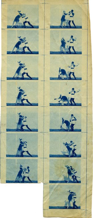 Blaupause (Fragment) des Films "DAS BOXENDE KÄNGURUH", Max Skladanowsky, nach 1895.