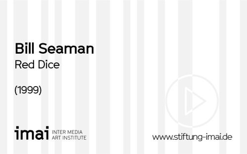 Bill Seaman (Künstler*in), Red Dice, 1999