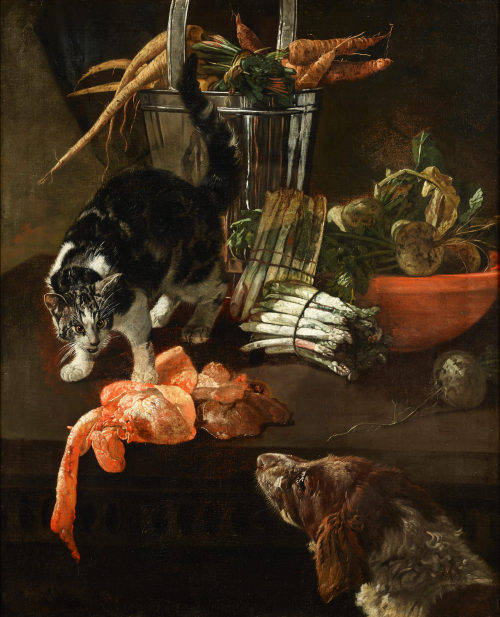 Jacobus Victors (Künstler*in), Küchenstück mit Hund und Katze, ca. 1660–1700