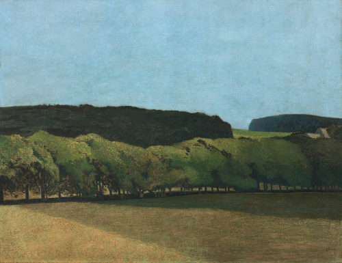 Julius Bretz (Künstler*in), Schlossallee in Grafenberg, 1906