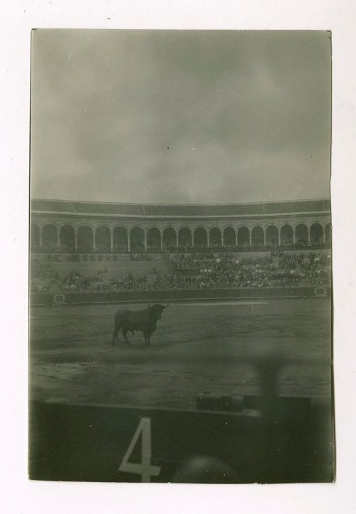 Unbekannt (Fotograf*in), Stiergefecht, Sevilla, Spanien, 1929