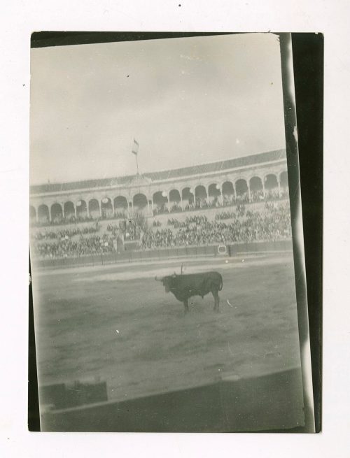 Unbekannt (Fotograf*in), Stiergefecht, Sevilla, Spanien, 1929