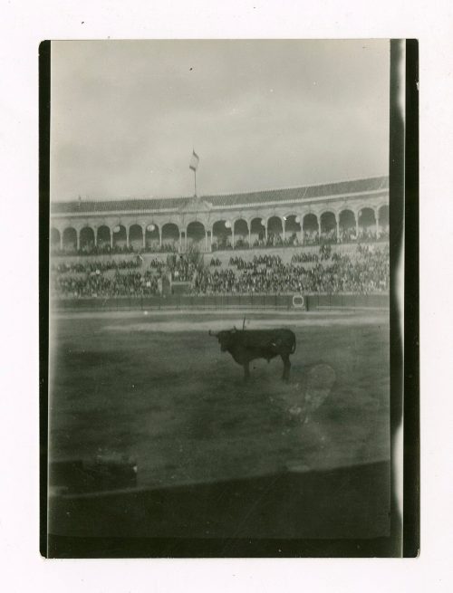 Unbekannt (Fotograf*in), Stiergefecht, Sevilla, Spanien, 1929