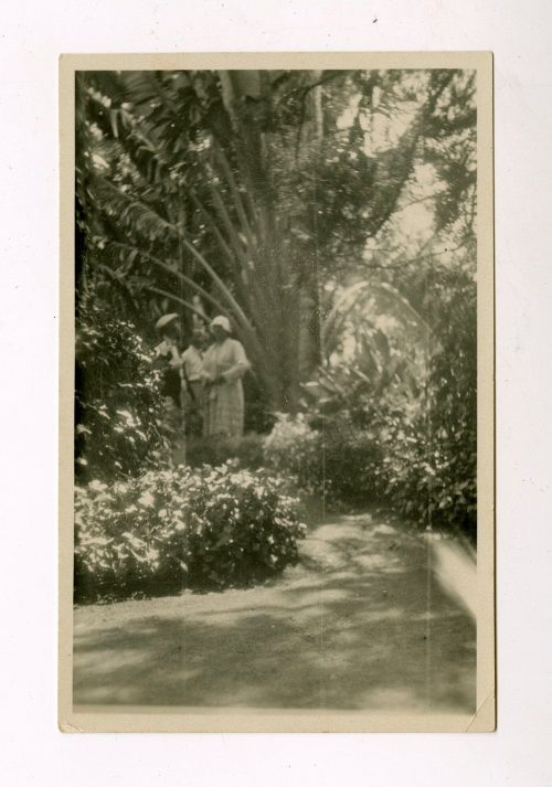 Unbekannt (Fotograf*in), Botanischer Garten in Orotava, Teneriffa, Spanien, 1929