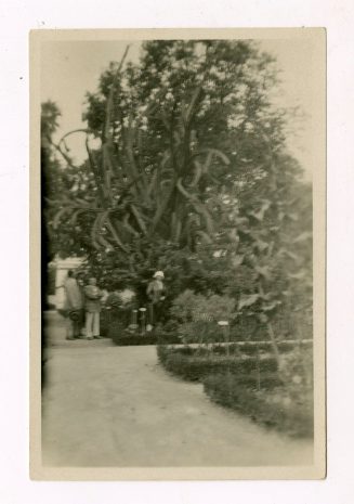 Botanischer Garten, Lissabon, Portugal