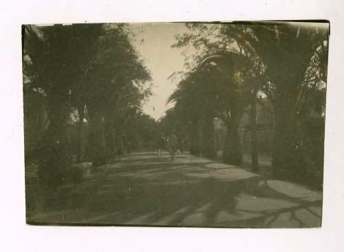 Unbekannt (Fotograf*in), Adolf und Frieda Uzarski gehen unter Dattel-Allee mit ihrem Hund spazieren, 1930