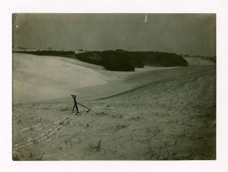 Schneelandschaft