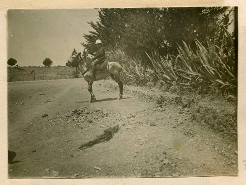 Adolf Uzarski (Dargestellt), Uzarski auf einem Pferd, Tanger, 1913