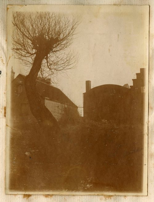 Unbekannt (Fotograf*in), Häuser und Baum, 2. März 1917