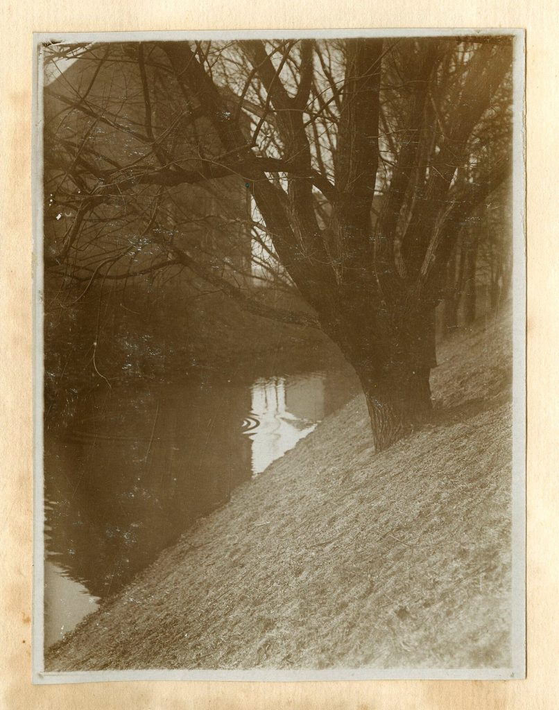 Baum am Ufer eines Flusses (Düssel?)