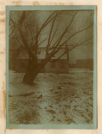 Blick auf verschneiten Baum und Haus