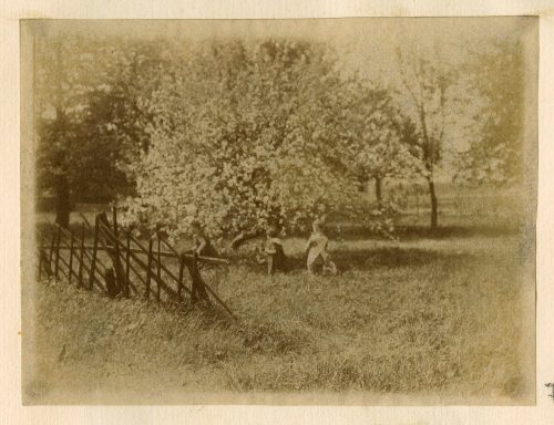 Unbekannt (Fotograf*in), drei Kinder unter einem Kirschbaum, 14. Mai 1917