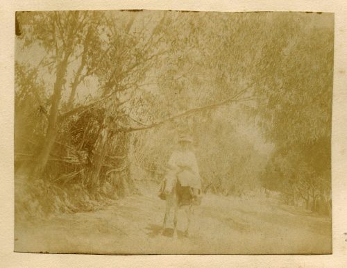 Unbekannt (Fotograf*in), Frieda auf einem Maultier, Route nach Fez, 1913