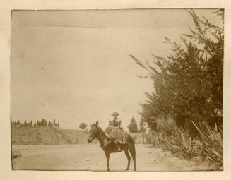 Frieda auf einem Maultier, Route nach Fez