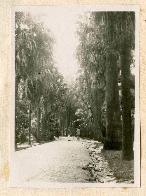 Unbekannt (Fotograf*in), Lissabon, September 1928