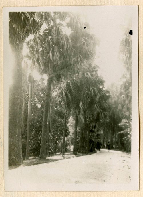 Unbekannt (Fotograf*in), Lissabon, September 1928