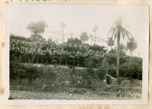 Unbekannt (Fotograf*in), Las Palmas, September 1928