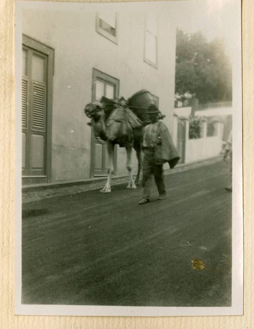 Unbekannt (Fotograf*in), Tafira Alta, September 1928