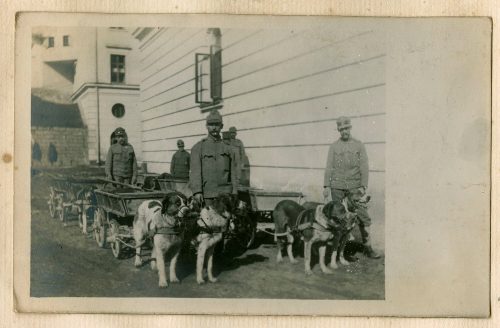 Unbekannt (Fotograf*in), Soldaten mit Diensthunden, wahrscheinlich Ukraine, vermutlich nach 1918