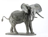 Afrikanischer Elefant, Bulle, drohend
