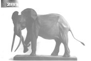 Afrikanischer Elefant, Bulle, drohend