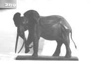 Afrikanischer Elefant, Bulle, drohend