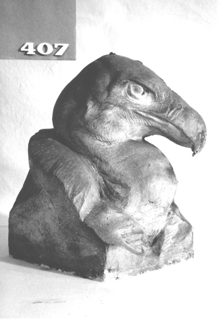 Geierbüste, Gänsegeier