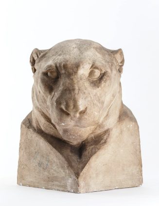 Jaguarbüste