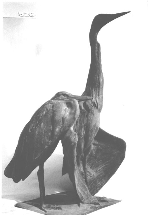 Josef Pallenberg (Künstler*in), Zwei Graureiher, 1902-1946