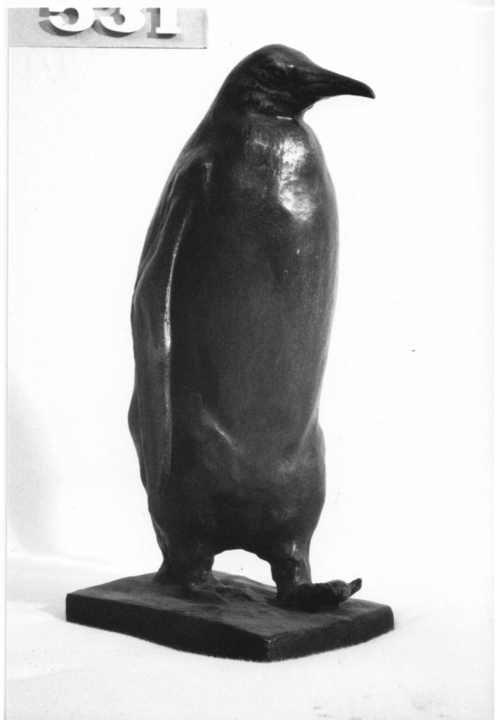 Königspinguin