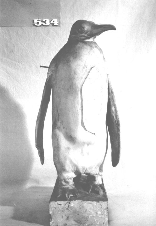 Josef Pallenberg (Künstler*in), Königspinguin, 1902-1946