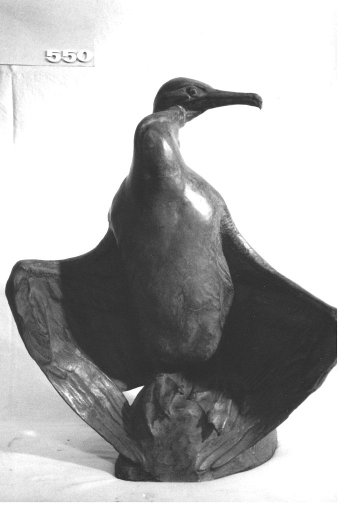 Kormoran, sich trocknend