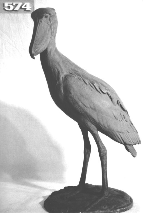 Josef Pallenberg (Künstler*in), Schuhschnabel, 1902-1946