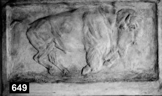 Bison, trabend