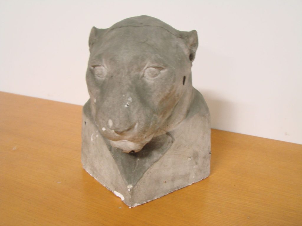 Jaguarbüste