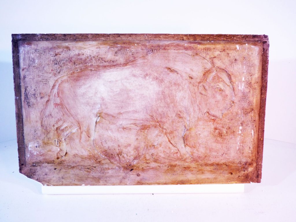 Bison