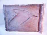 Adler, fliegend