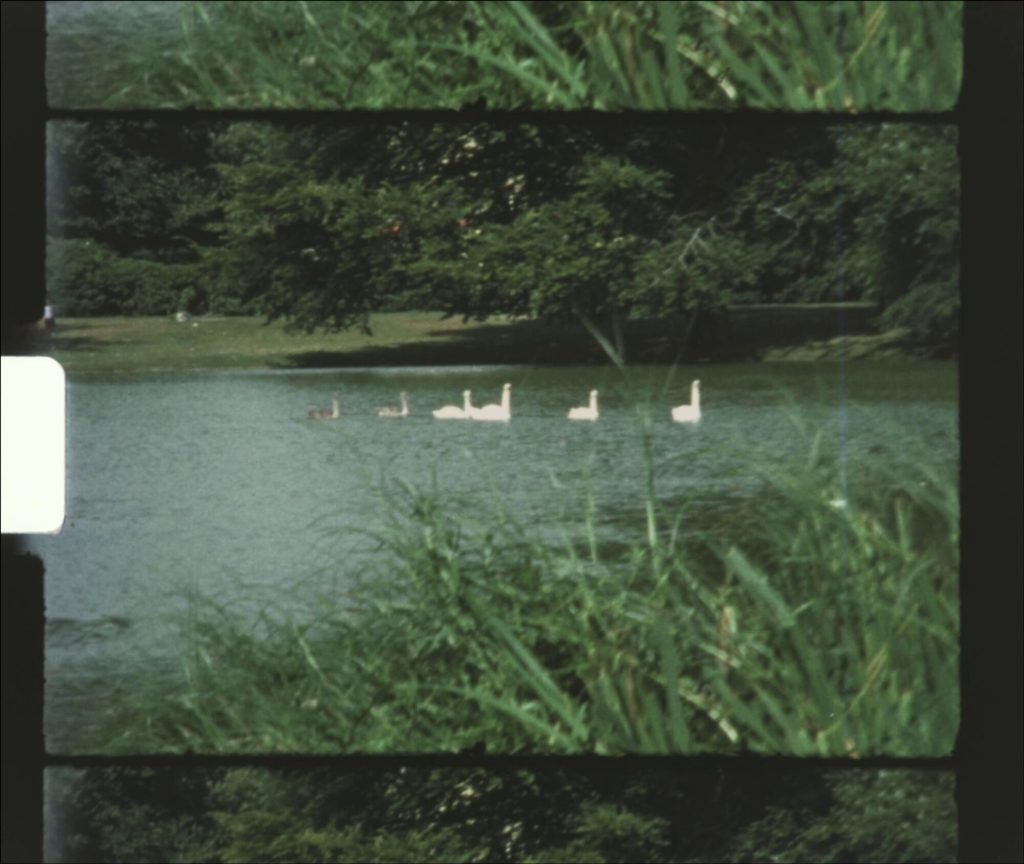 Filmstill, 2022