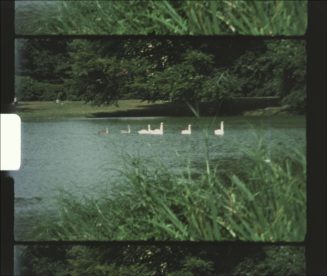 Filmstill, 2022