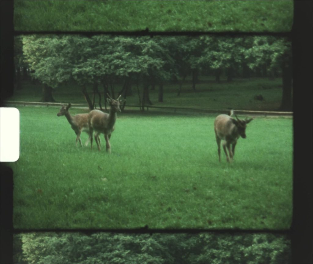 Filmstill, 2022