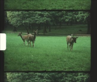 Filmstill, 2022