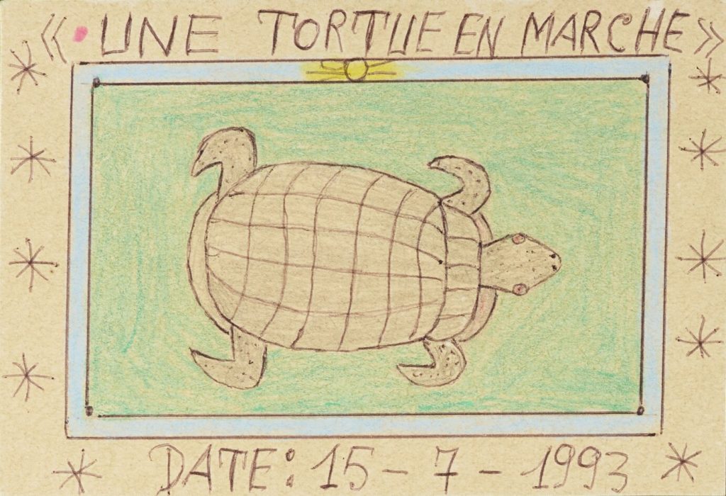 UNE TORTUE EN MARCHE