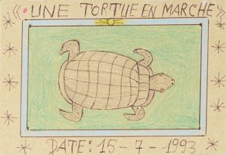 UNE TORTUE EN MARCHE