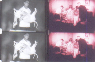 Szenenfoto, Tritychon mit Schafen, 1992