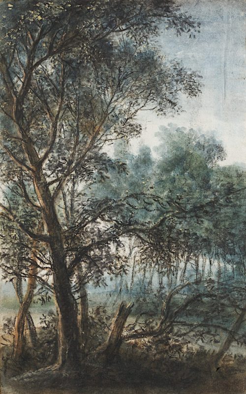 Anthonie Waterloo (Künstler*in), Blick auf eine Waldlichtung, ca. 1625–1676